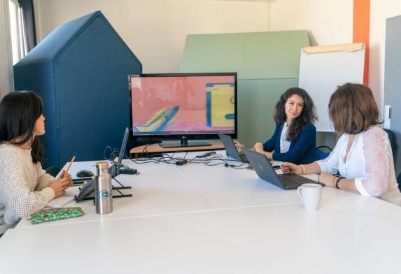 Réunion de travail ESEA